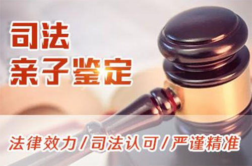 黑河司法DNA亲子鉴定哪里能办理,