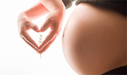 黑河怀孕期间怎么检测孩子是谁的，黑河孕期亲子鉴定大概收费